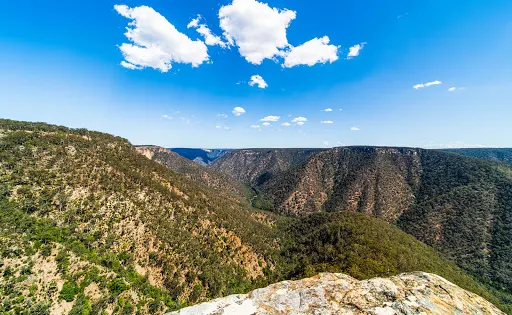 Badgerys Lookout