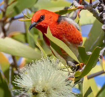 Freshwater National Park
