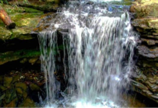 Pioneer Farm景点图片