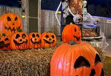 Scarefest Scream Park景点图片