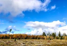 Præsteflod Nature Reserve景点图片