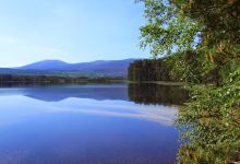 Loch Mallachie景点图片
