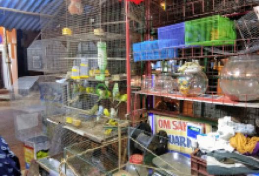 Om Sakthi Aquarium购物图片