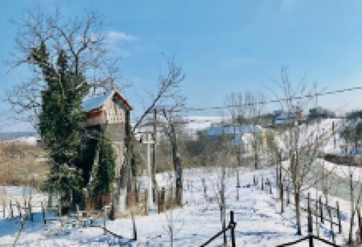 Clopotoaca Bogda景点图片