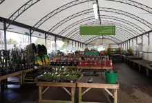 Blackbrooks Garden Centre购物图片