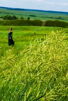 Bilivsʹke Horodyshche-罗夫诺区