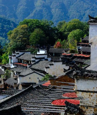 6D5N • In-depth Huizhou landscape tour, Huangshan + Wuyuan Huangling + Qiandao Lake + Hongcun, full scenery exploration