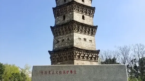 悟穎塔