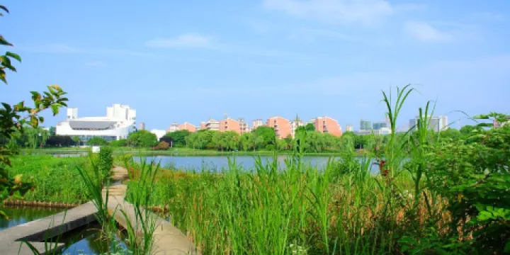 蘆花盪濕地公園