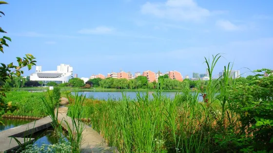 蘆花盪濕地公園