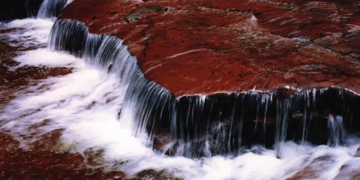 貴州習水國家級自然保護區