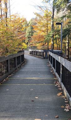 Hartwick Pines State Park-Grayling Township