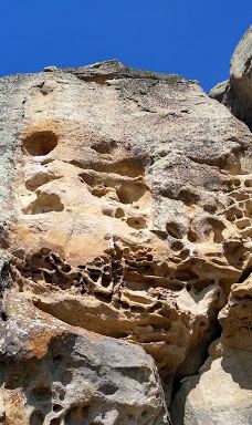 Walichu tip (Cuevas Gualicho)-阿根廷湖县