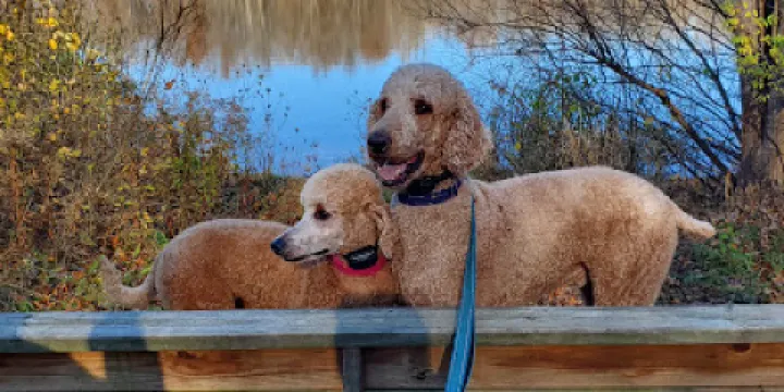 Rowland Nature Preserve