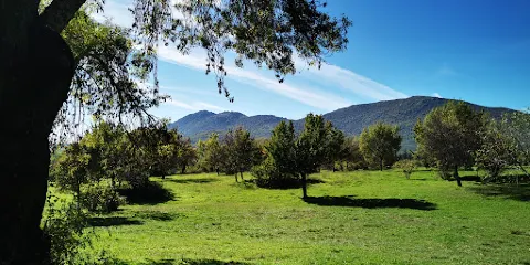 Bosque de la Herreria