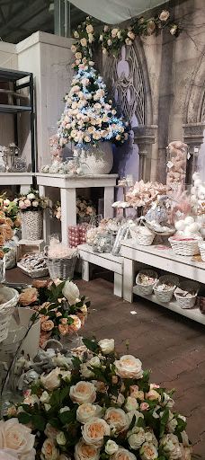 Zahradní Centrum Dvořák-特普利采