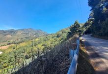 Mirador Río Chiquito景点图片