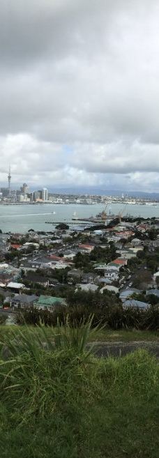 维多利亚山-惠灵顿