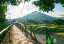 Tamparuli Suspension Bridge景点图片