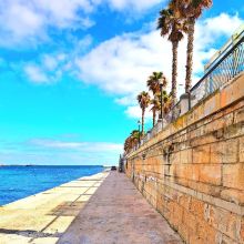 弗洛里亚纳图片