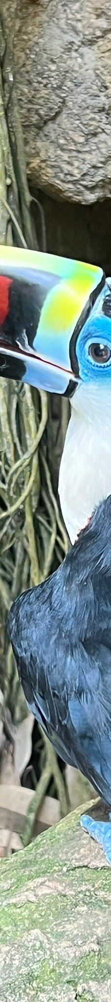 Butterfly Park Empuriabrava-Alt Emporda