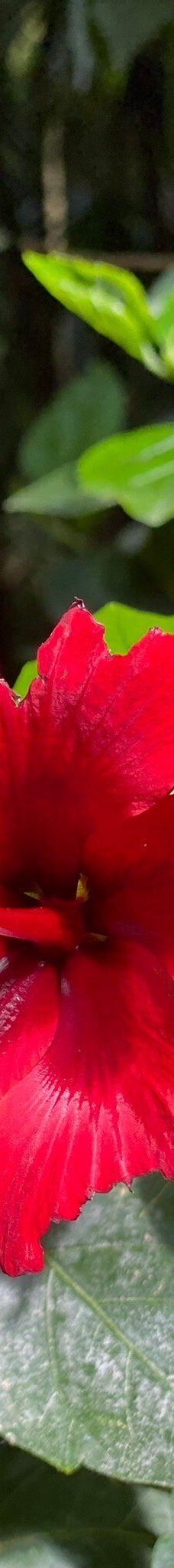 Butterfly Park Empuriabrava-Alt Emporda
