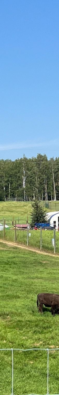 Large Animal Research Station-科利奇