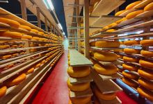 Kaasboerderij Weenink购物图片