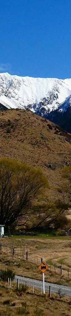 高山观景火车之旅-基督城