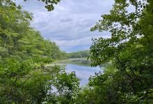 Ferry Beach State Park景点图片