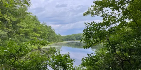 Ferry Beach State Park