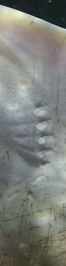 基尔水族馆-基尔