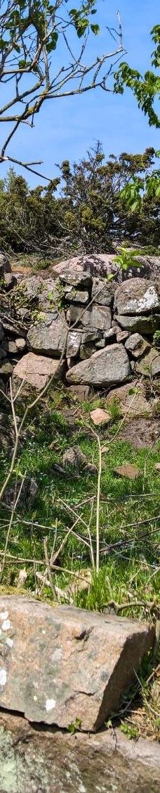 Hammer Lighthouse (Hammer Fyr)-阿灵厄