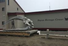 Inupiat Heritage Center景点图片
