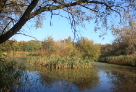 Folkeparken景点图片