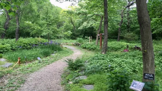 沂青山植物園