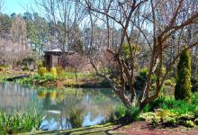 Moore Farms Botanical Garden景点图片
