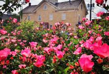French Heritage Museum景点图片