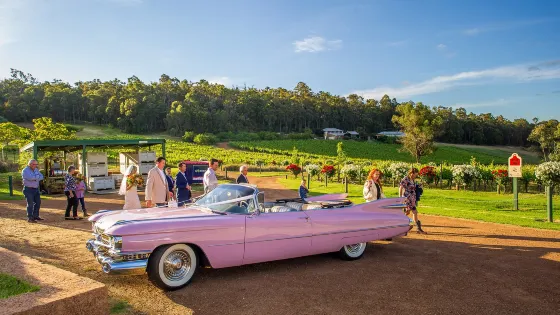 Myattsfield Vineyard
