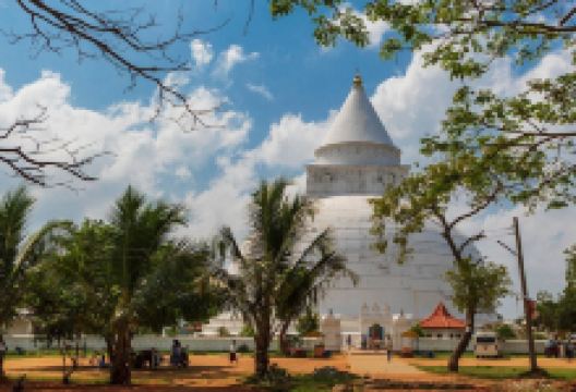 Tissamaharama Raja Maha Vihara景点图片