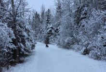 Three Mile Bend Recreation Area景点图片