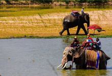 Ban Ta Klang Elephant Village景点图片