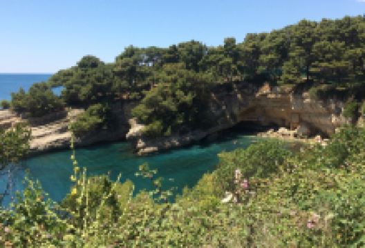 Zenska plaza景点图片