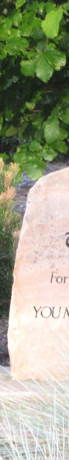 Blue Heron Park-杰克逊县