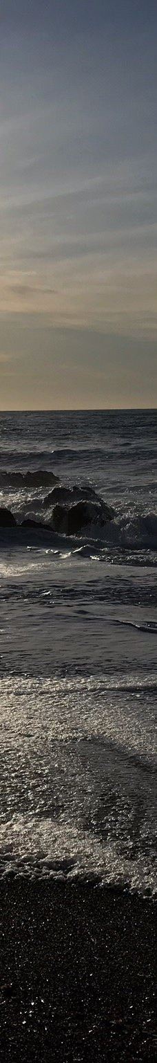 Shamel Park-坎布里亚