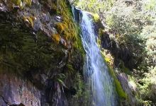 Bindaree Falls景点图片