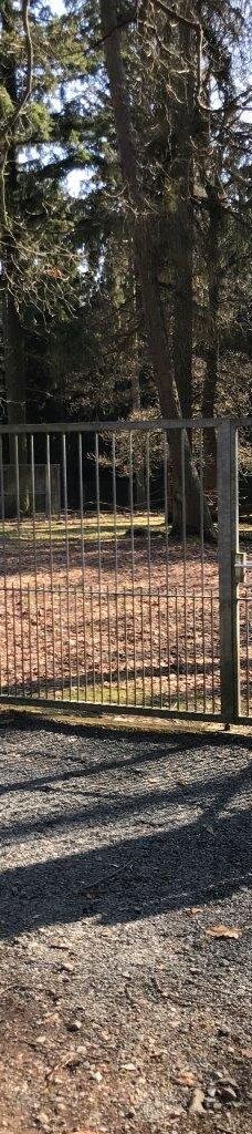 Tiergehege Waldhaus-莫尔斯多夫-泰希沃尔夫拉姆斯多夫