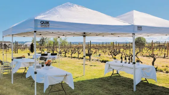 Vinoscenti Vineyards