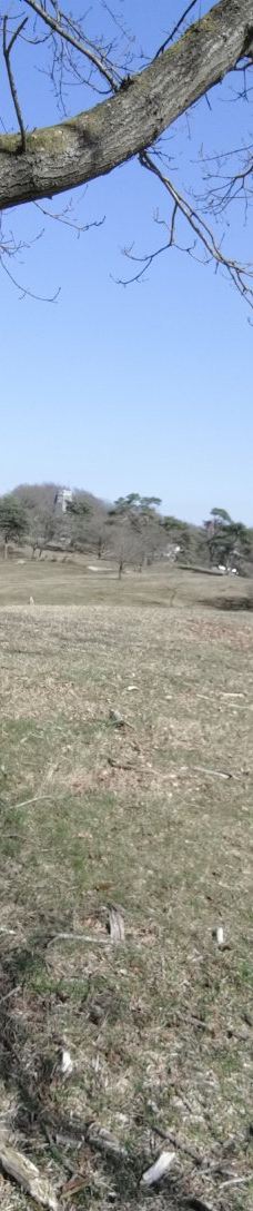 Svanninge Bakker-福堡