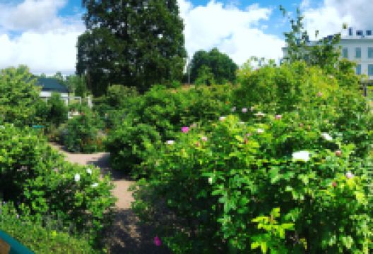 Jonsereds Tradgardar景点图片